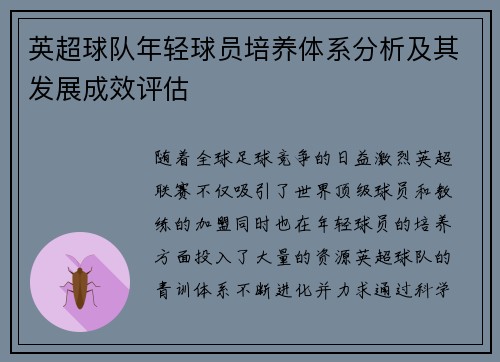 英超球队年轻球员培养体系分析及其发展成效评估